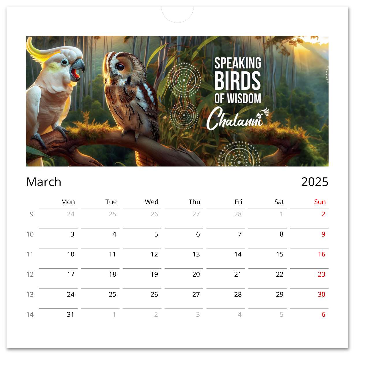 2025 Chalanni Calendar - Chalanni