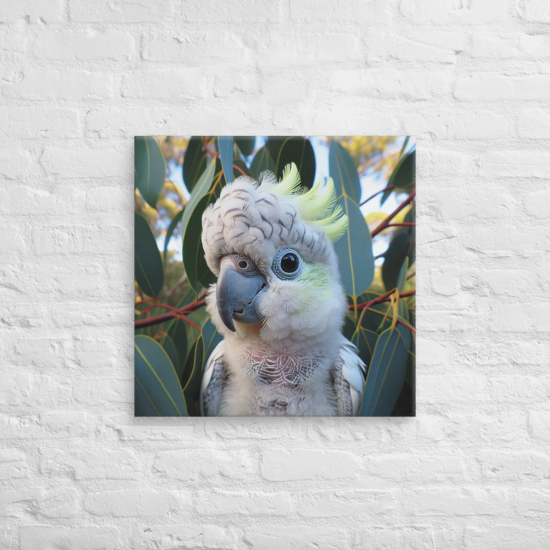 Canvas 24"x24" Baby Chalanni - Chalanni