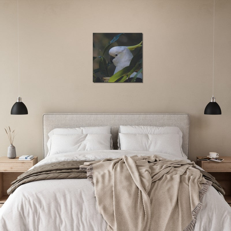 Cockatoo Green Background | 600x600-mm-24x24-inch | Canvas - Chalanni