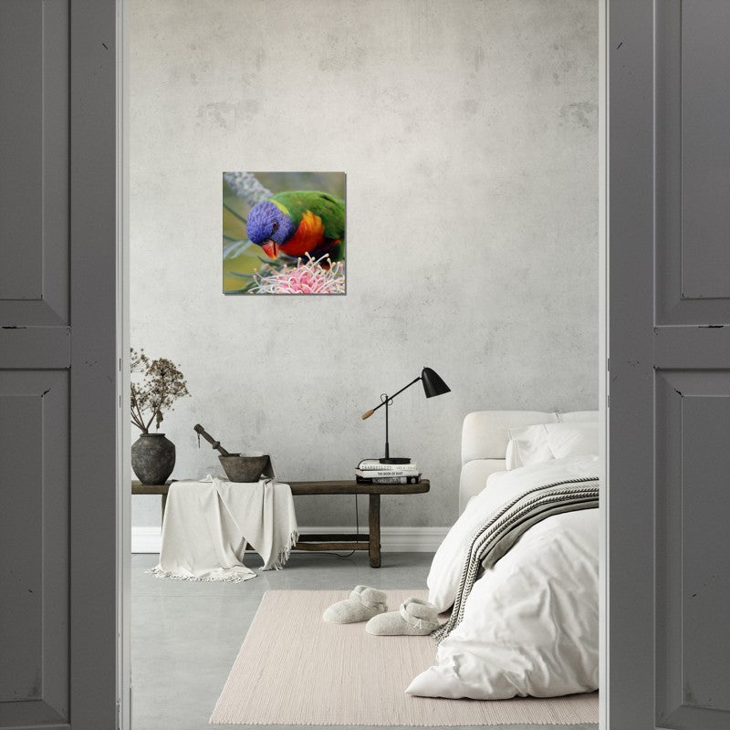 Rainbow Lorrikeet with native flower | 600x600-mm-24x24-inch | Canvas - Chalanni