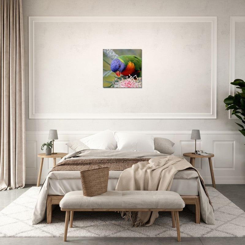 Rainbow Lorrikeet with native flower | 600x600-mm-24x24-inch | Canvas - Chalanni
