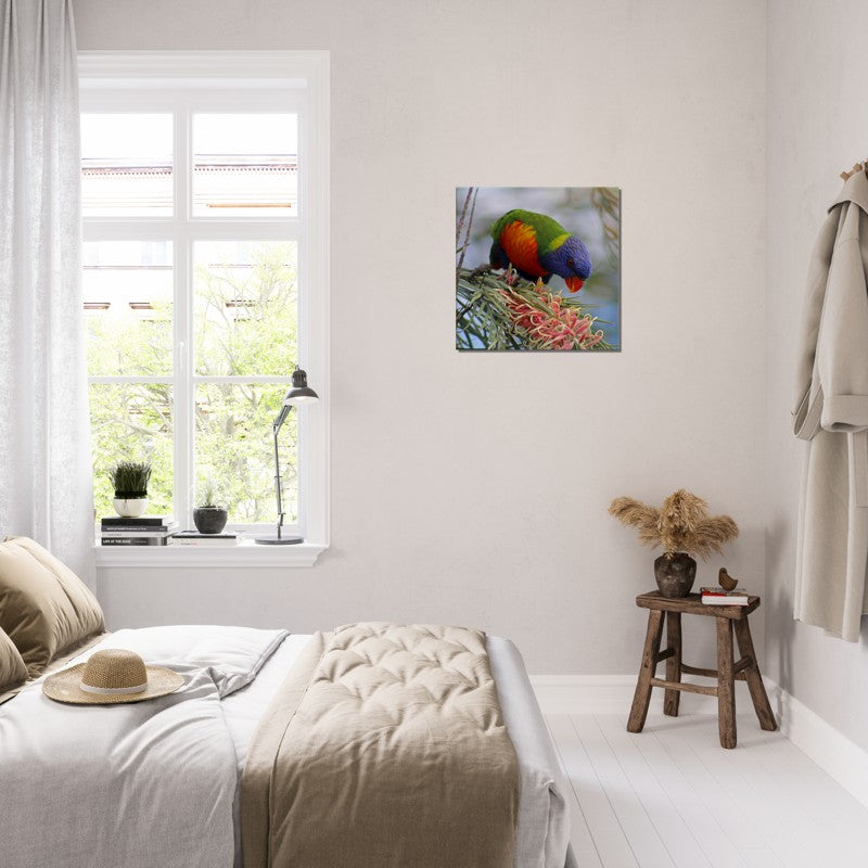 Rainbow with Native Flower Pose 2 | 600x600-mm-24x24-inch | Canvas - Chalanni