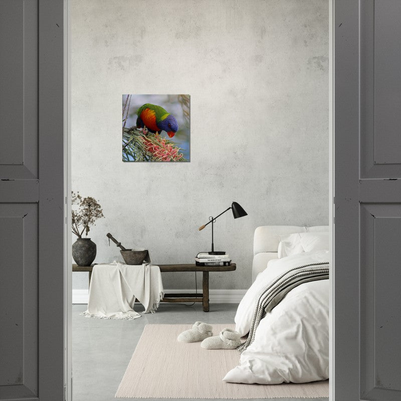Rainbow with Native Flower Pose 2 | 600x600-mm-24x24-inch | Canvas - Chalanni