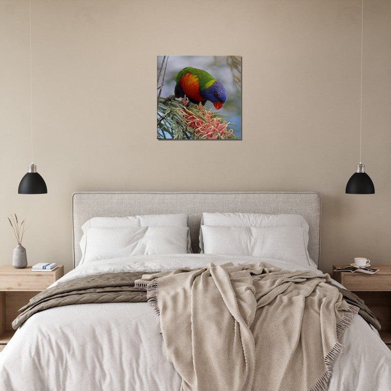 Rainbow with Native Flower Pose 2 | 600x600-mm-24x24-inch | Canvas - Chalanni