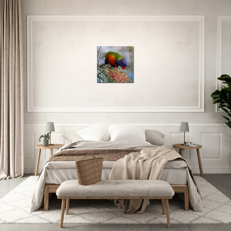 Rainbow with Native Flower Pose 2 | 600x600-mm-24x24-inch | Canvas - Chalanni