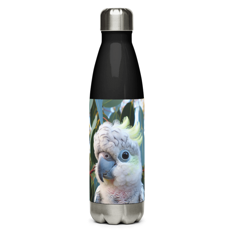 Stainless Steel Water Bottle | Baby Chalanni | Black - Chalanni
