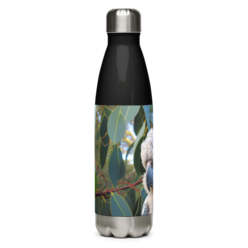 Stainless Steel Water Bottle | Baby Chalanni | Black - Chalanni