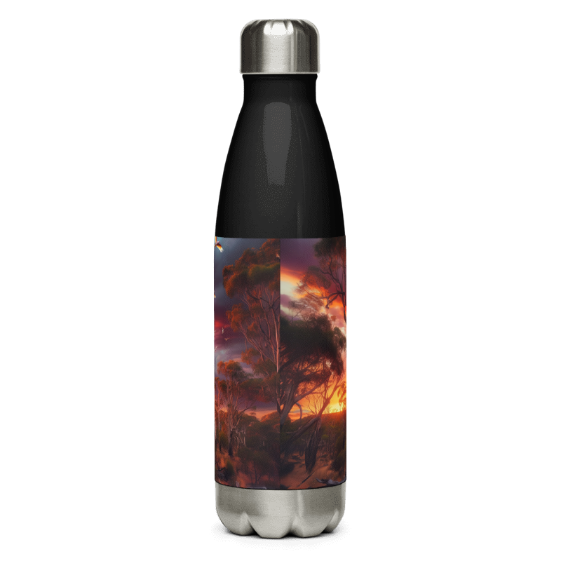 Stainless Steel Water Bottle | Pink Sky | Black - Chalanni