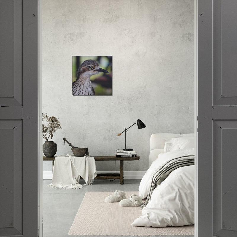 The Australian Curlew | 600x600-mm-24x24-inch | Canvas - Chalanni