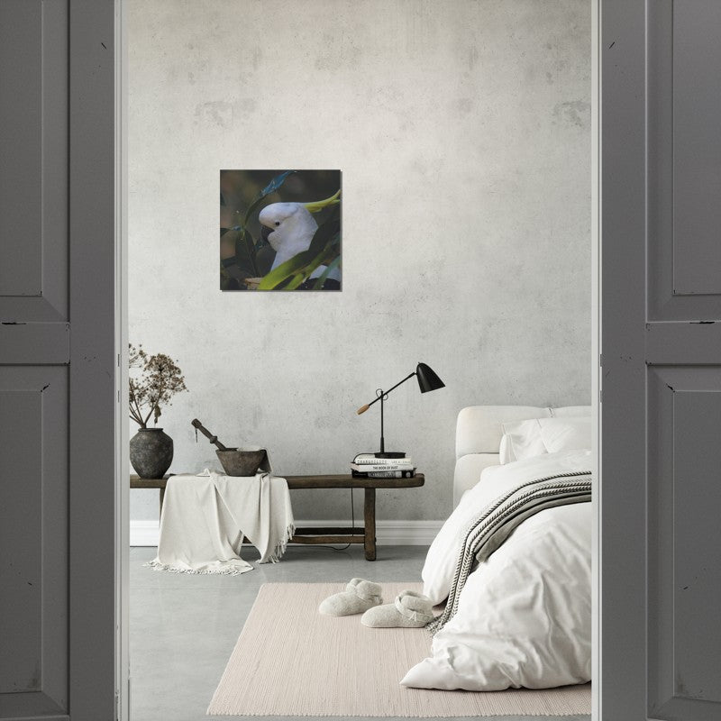 Cockatoo Green Background | 600x600-mm-24x24-inch | Canvas - Chalanni