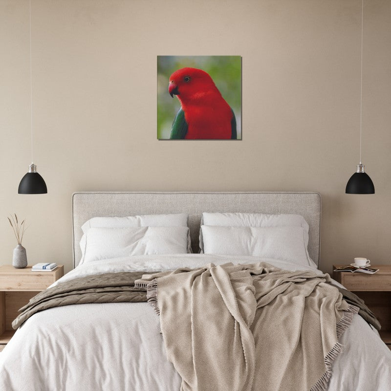 King Parrot Close Up | 600x600-mm-24x24-inch | Canvas - Chalanni