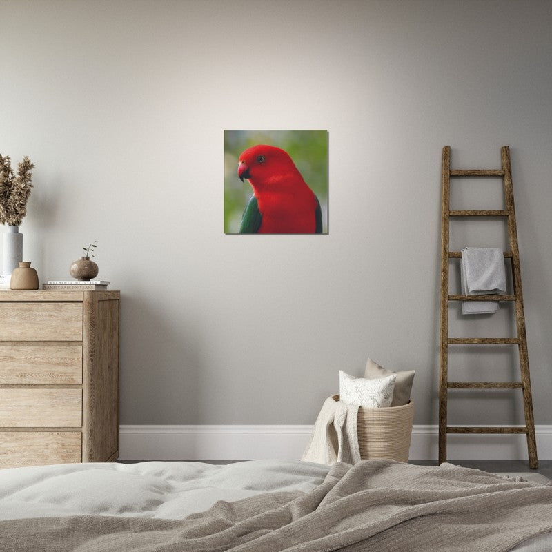 King Parrot Close Up | 600x600-mm-24x24-inch | Canvas - Chalanni