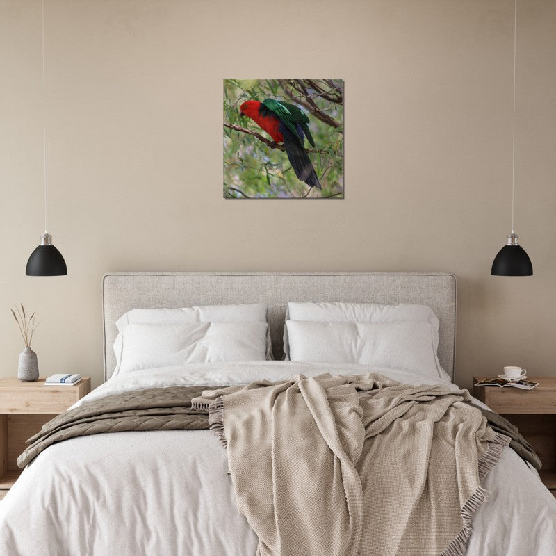 King Parrot ready to Fly | 600x600-mm-24x24-inch | Canvas - Chalanni