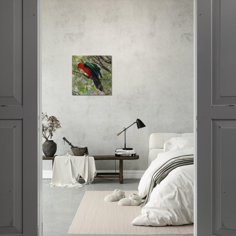 King Parrot ready to Fly | 600x600-mm-24x24-inch | Canvas - Chalanni