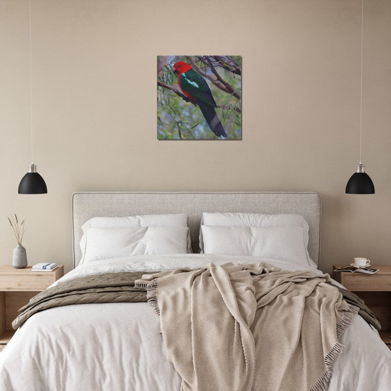 King Parrot watching | 600x600-mm-24x24-inch | Canvas - Chalanni