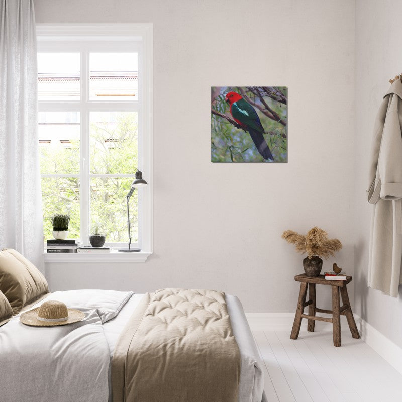 King Parrot watching | 600x600-mm-24x24-inch | Canvas - Chalanni