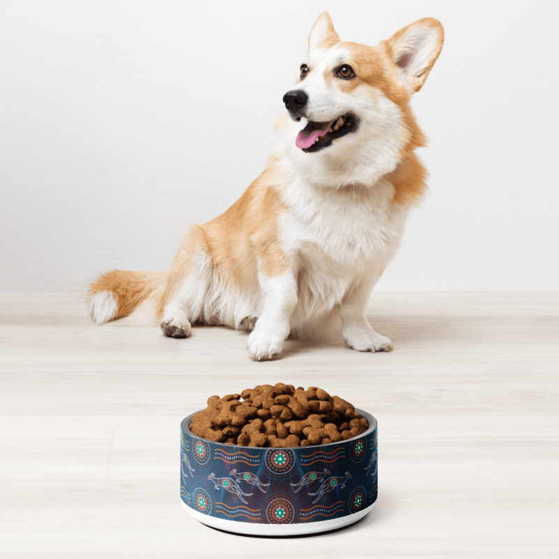Pet Bowl | Large - Chalanni