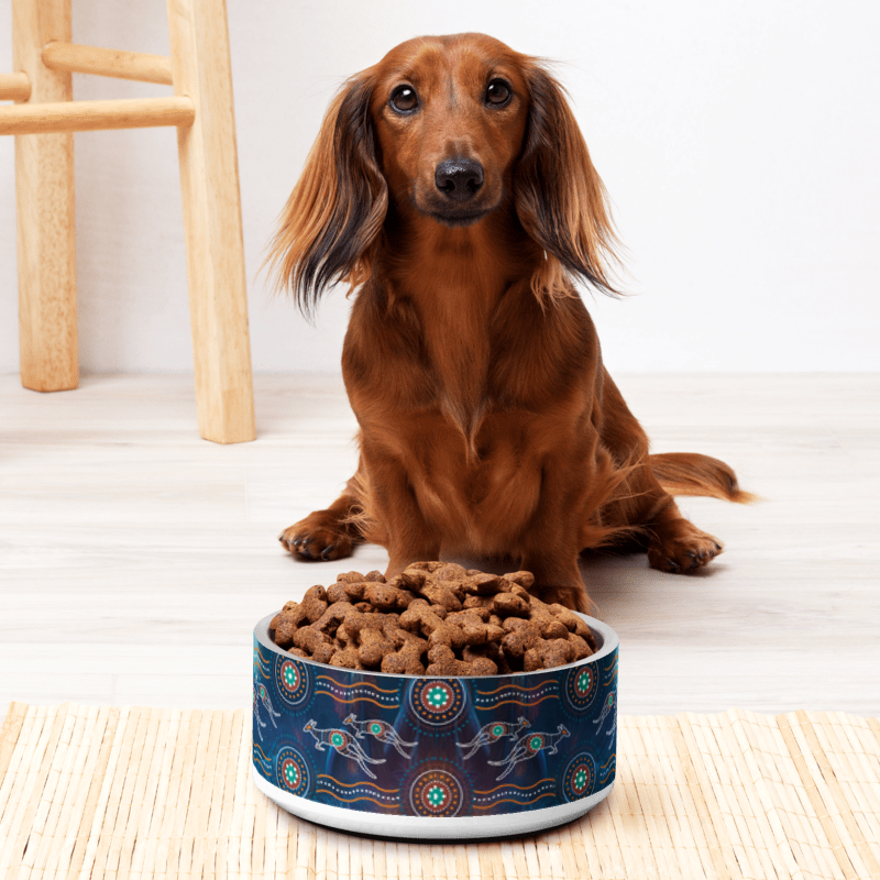 Pet Bowl | Large - Chalanni