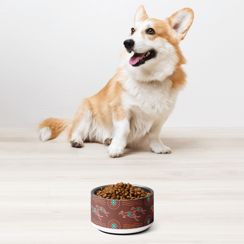 Pet Bowl Small - Chalanni