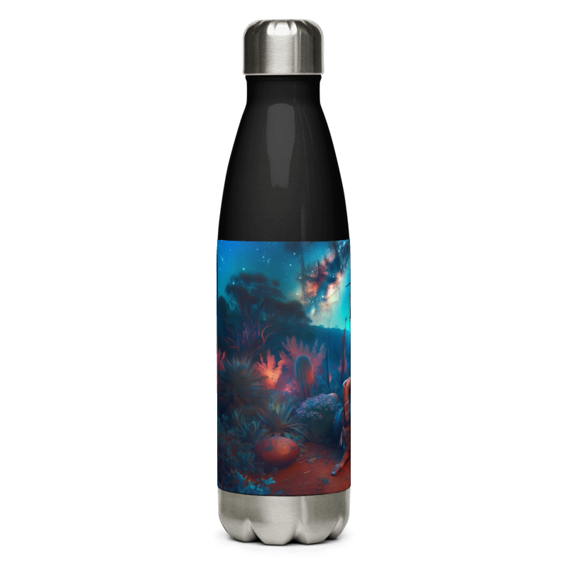 Stainless Steel Water Bottle | My Tribe | Black - Chalanni