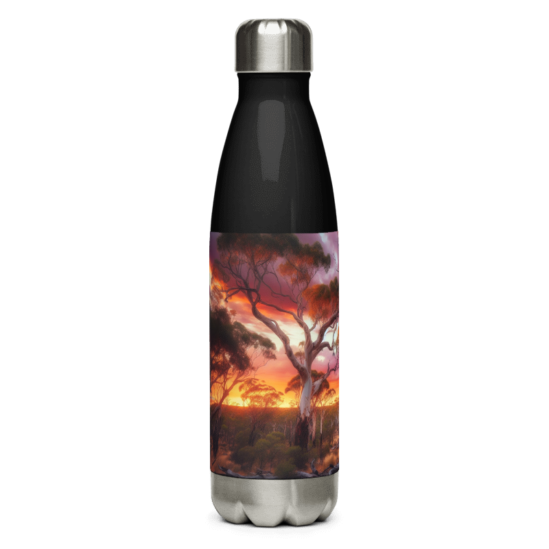 Stainless Steel Water Bottle | Pink Sky | Black - Chalanni
