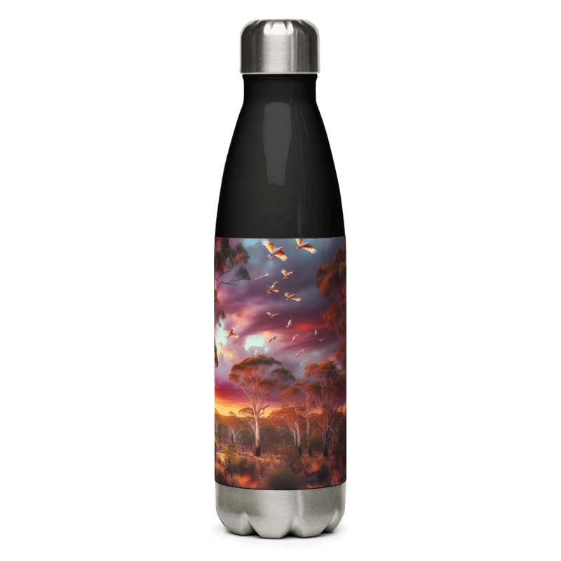 Stainless Steel Water Bottle | Pink Sky | Black - Chalanni