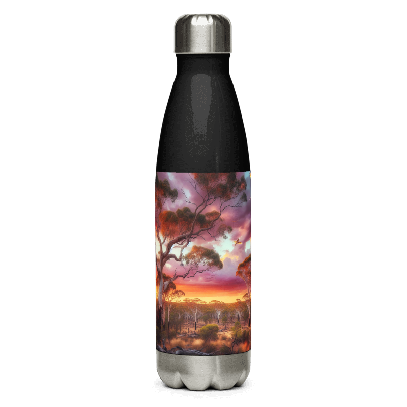 Stainless Steel Water Bottle | Pink Sky | Black - Chalanni