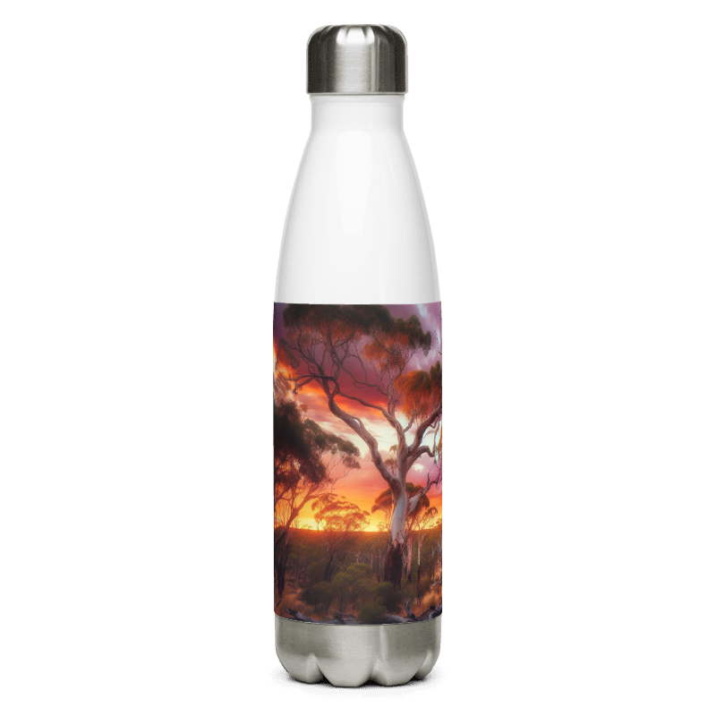 Stainless Steel Water Bottle | Pink Sky | White - Chalanni