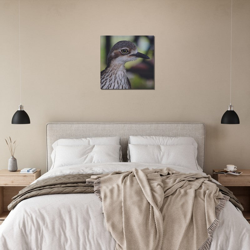 The Australian Curlew | 600x600-mm-24x24-inch | Canvas - Chalanni