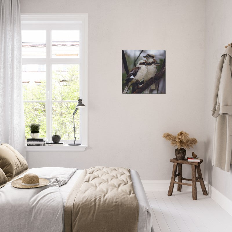 The Australian Kookaburra Trio | 600x600-mm-24x24-inch | Canvas - Chalanni