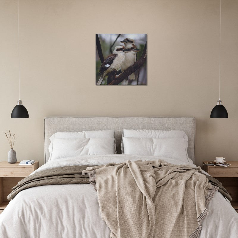 The Australian Kookaburra Trio | 600x600-mm-24x24-inch | Canvas - Chalanni
