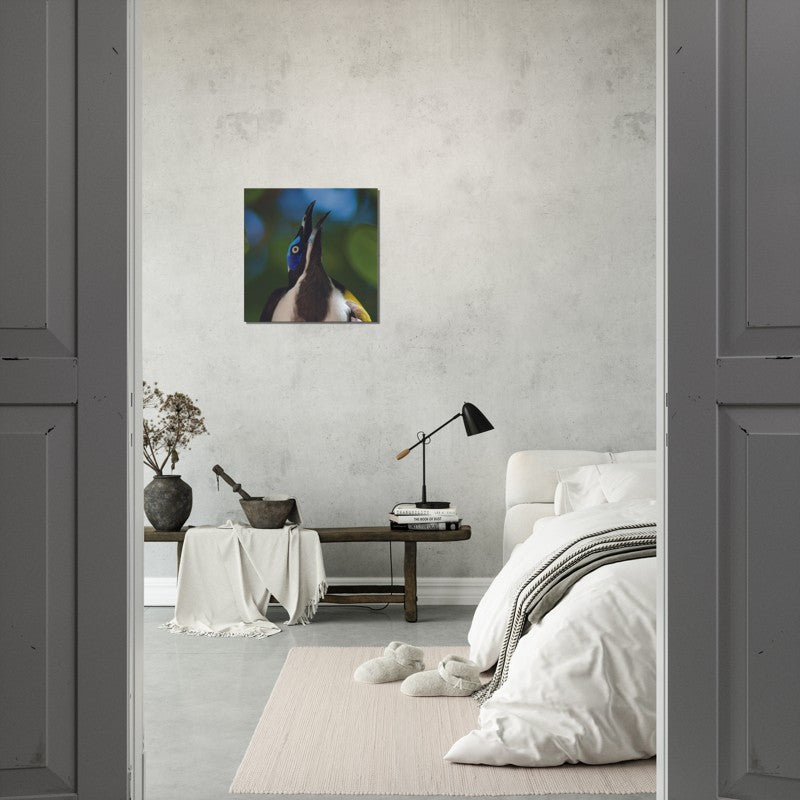 The Blue Faced Honey Eater | 600x600-mm-24x24-inch | Canvas - Chalanni