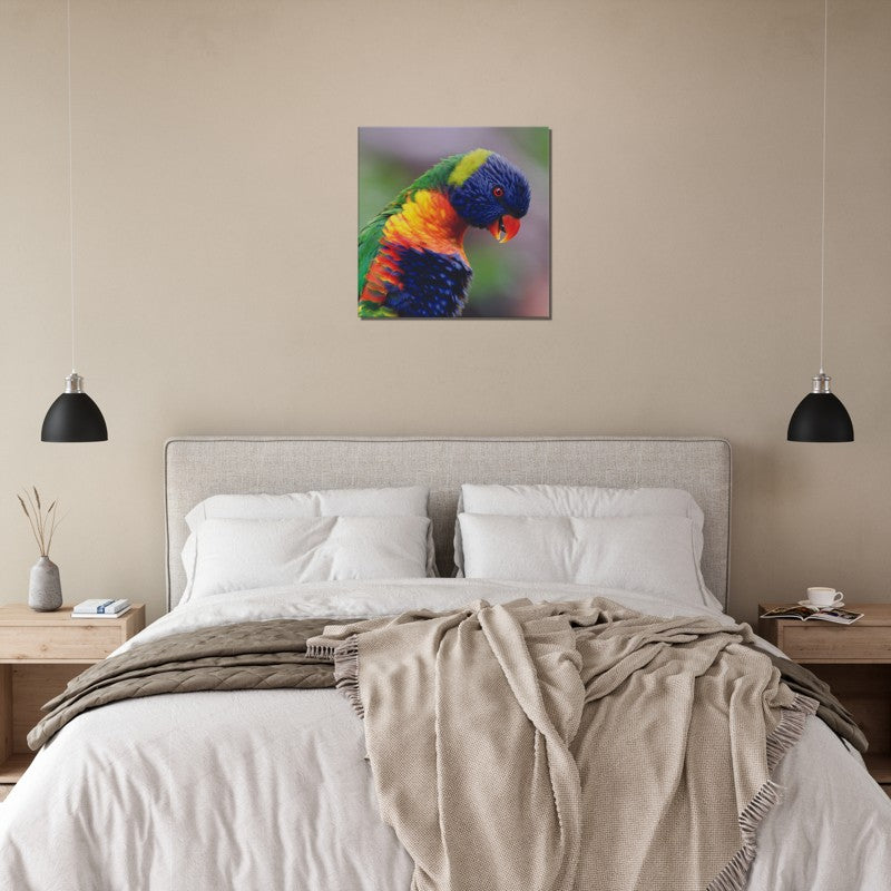 The Majestic Rainbow Lorrikeet  | 600x600-mm-24x24-inch | Canvas - Chalanni