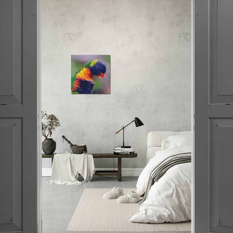 The Majestic Rainbow Lorrikeet  | 600x600-mm-24x24-inch | Canvas - Chalanni